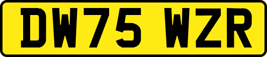 DW75WZR