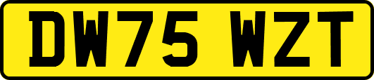 DW75WZT