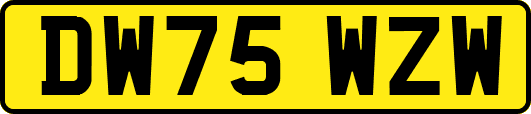 DW75WZW
