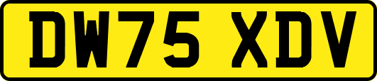 DW75XDV