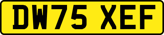 DW75XEF