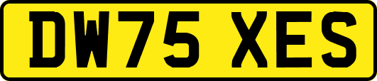 DW75XES
