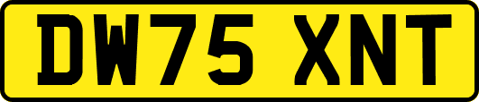 DW75XNT