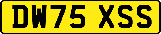 DW75XSS