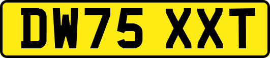 DW75XXT