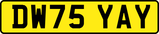 DW75YAY