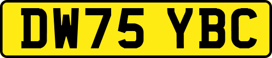 DW75YBC