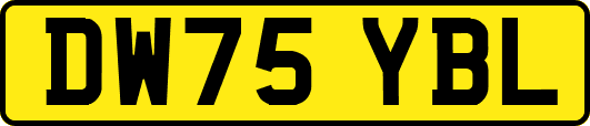 DW75YBL