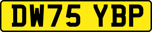 DW75YBP