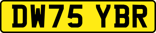 DW75YBR