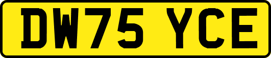 DW75YCE