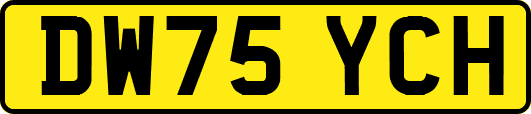 DW75YCH