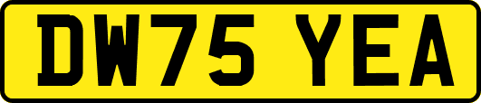 DW75YEA