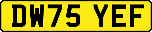DW75YEF