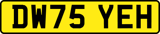 DW75YEH