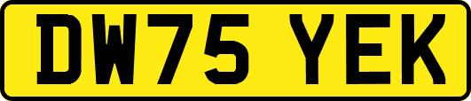 DW75YEK