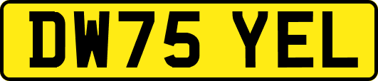 DW75YEL