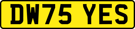 DW75YES