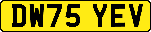 DW75YEV