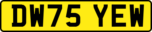 DW75YEW