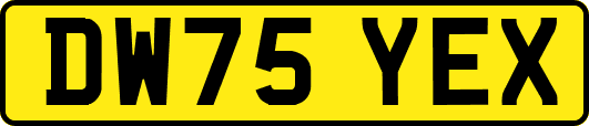 DW75YEX