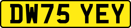DW75YEY
