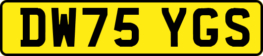 DW75YGS