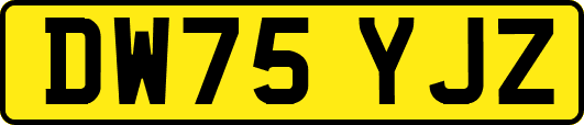 DW75YJZ