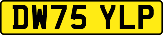 DW75YLP