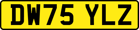 DW75YLZ