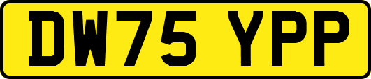 DW75YPP