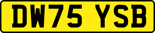 DW75YSB