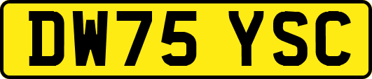 DW75YSC
