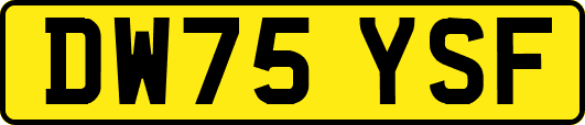 DW75YSF