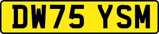 DW75YSM