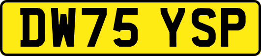 DW75YSP