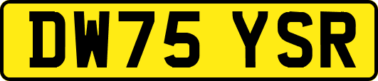 DW75YSR