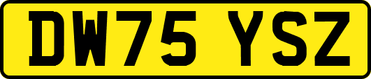 DW75YSZ