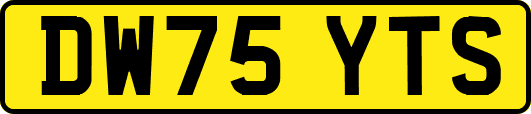 DW75YTS