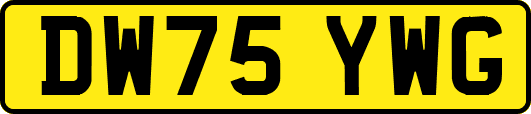 DW75YWG