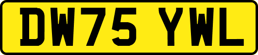 DW75YWL