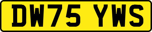 DW75YWS