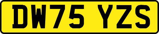 DW75YZS