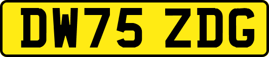 DW75ZDG