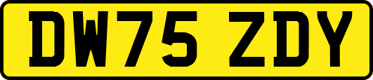 DW75ZDY