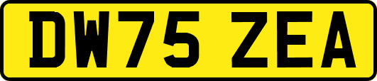 DW75ZEA