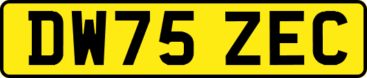 DW75ZEC