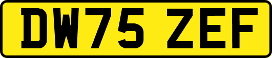 DW75ZEF
