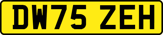 DW75ZEH