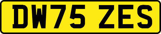 DW75ZES